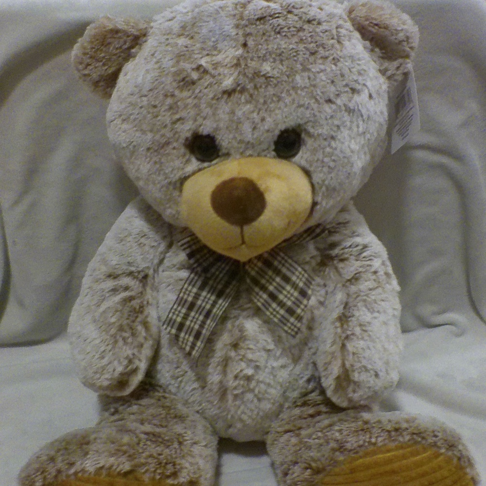 Teddy Bear